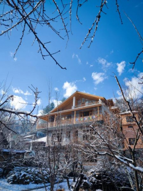 Zankhrpas A Himalayan Home - Manali